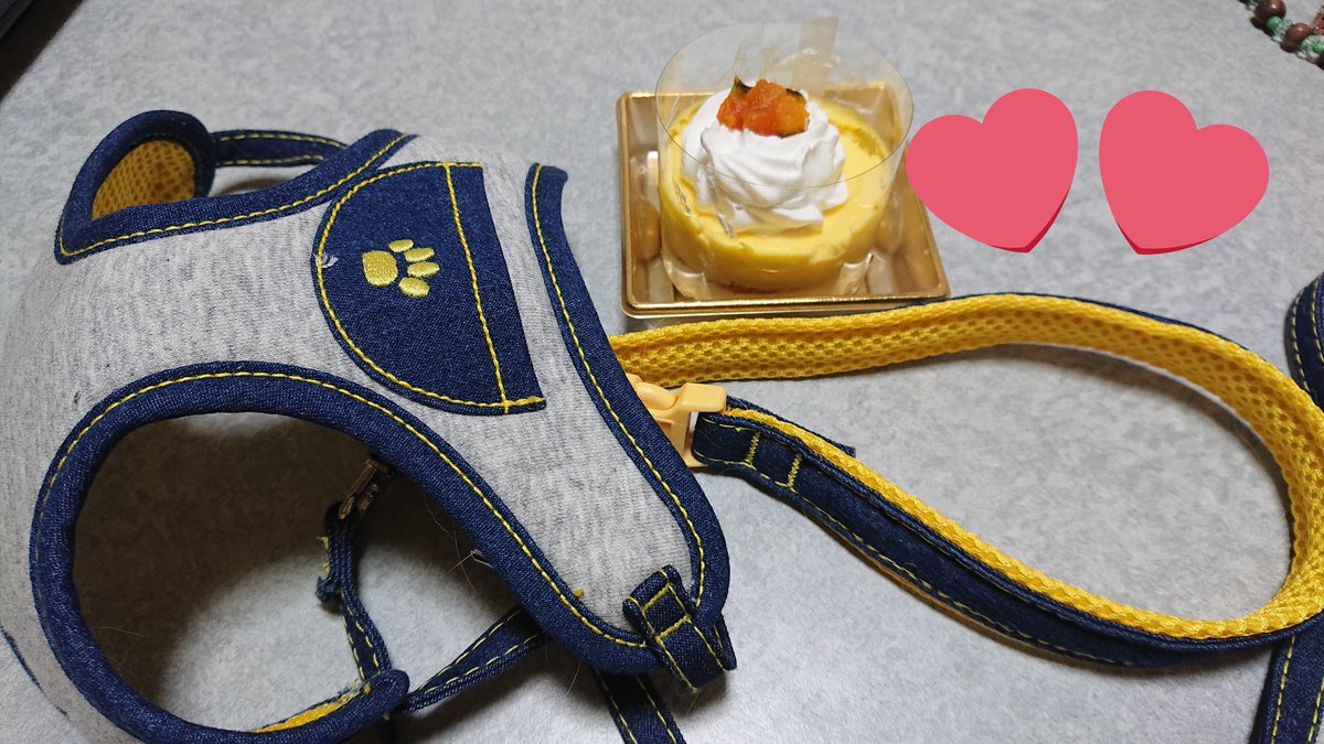 AAA_K_526's tweet photo. #ちゃんしんのリクエスト

キャバリアキングチャールズスパニエルのチップです！
16日に1歳になりました😊
やんちゃすぎで、えーパンダ真ちゃんもお気に入りでボロボロですがとてもかわいい😍ですw

@A_Shinjirooooo  #與真司郎 https://t.co/Xbjr9j3xgA