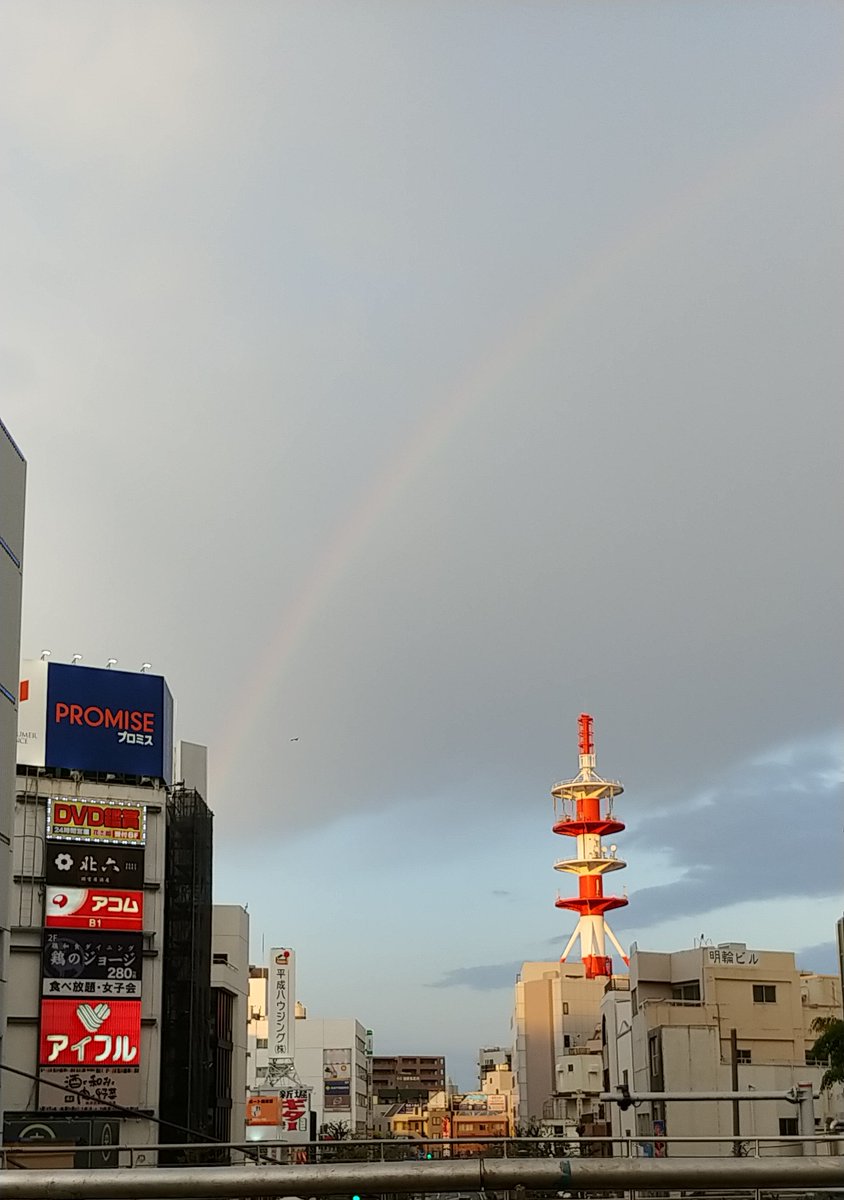 コンちゃん 虹 横須賀中央