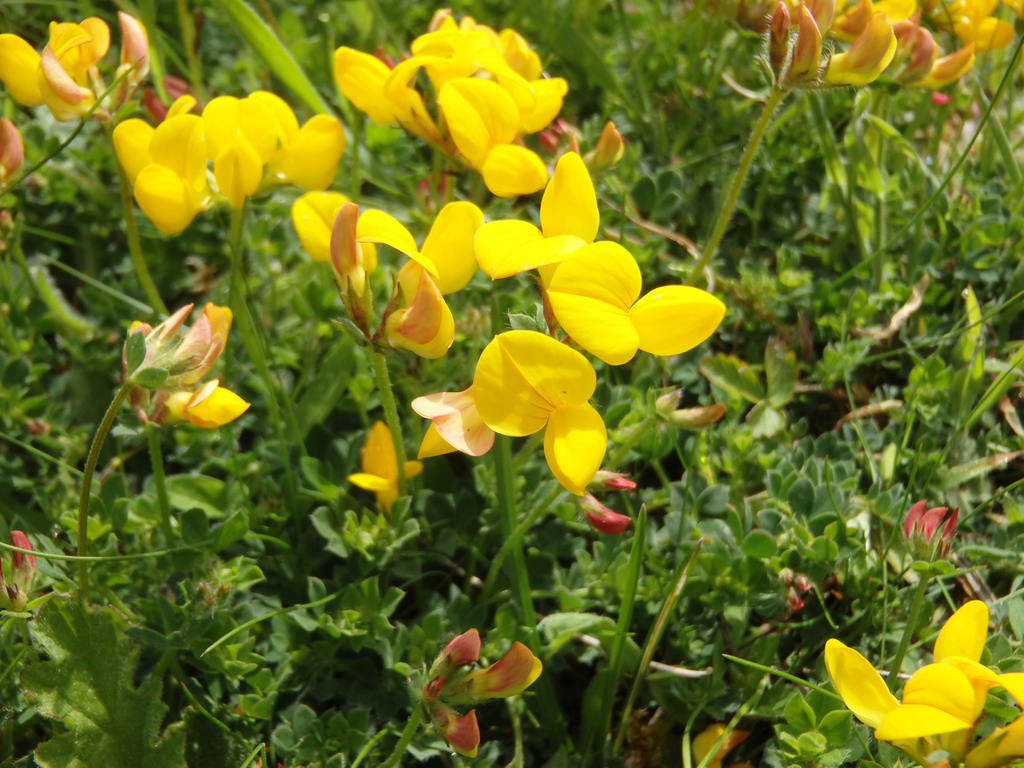 Lower Mill Estate tweet media