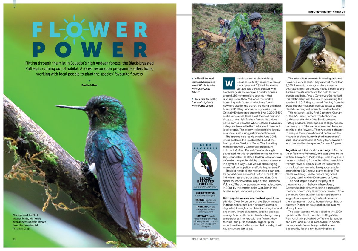 BirdLife_News's tweet photo. 📣 Huge news 📣
To entertain you during #lockdown and provide a welcome distraction from the news, we've decided to release the latest issue of our magazine FREE for anyone to download and enjoy! Get yours here: https://t.co/6FhNs15N9o
We hope you like it 😊 #StaySafe https://t.co/H2cxkShluh