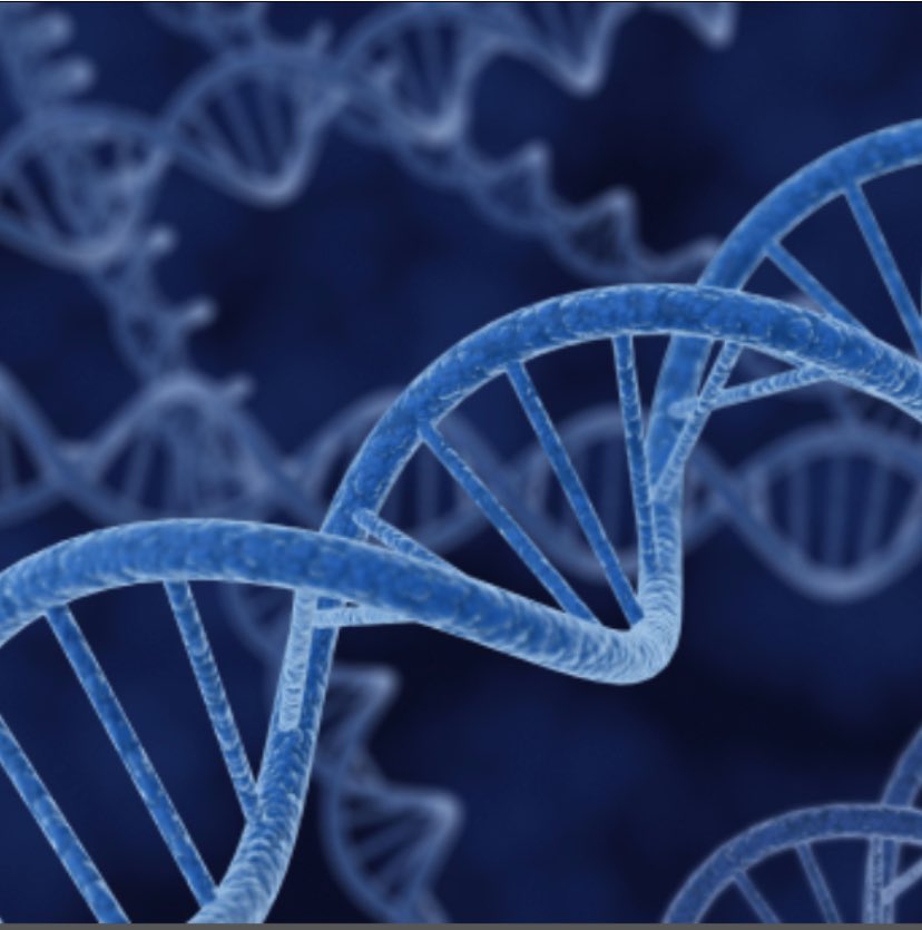 justthink349's tweet photo. If we are able to induce mutations, why canโt we reverse them?... think about it #ThinkPositive #science #provokingthoughts #Genetics #gene #Cancer #ThoughtForTheDay #DNA #cancerfree #CancerResearch https://t.co/00UcGIes0T