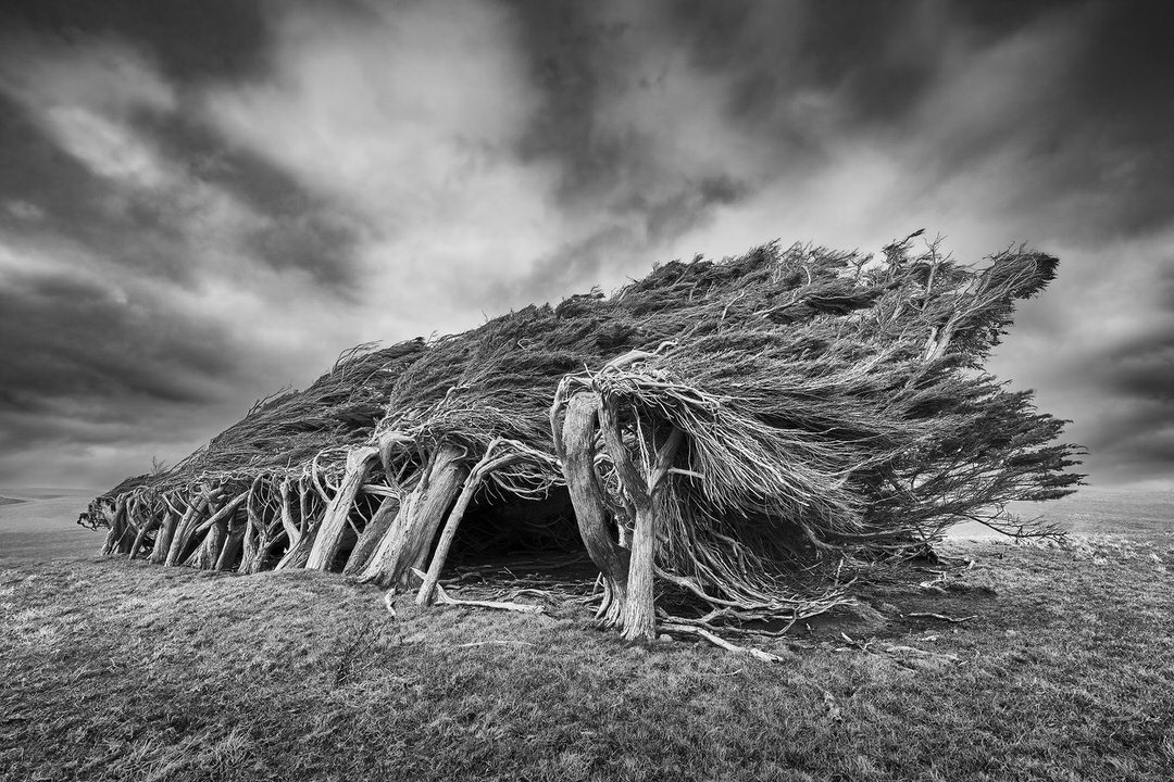 K Sharad Haksar tweet media