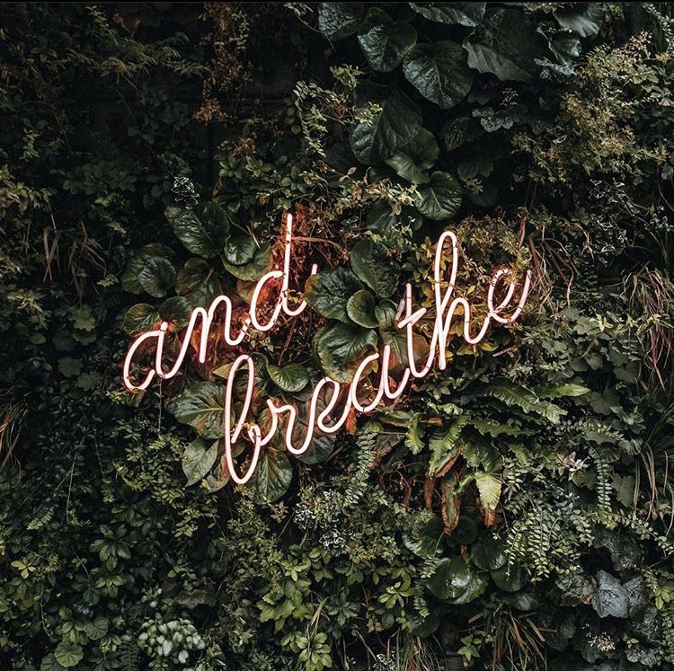 You’re doing it, Grizzlies! We are so proud of you and we miss you and think of you every day. We need you you to know...you are truly loved. So breathe, be kind to yourself and others. Be proud of the good in you...because we are. Grizzlies forever. ❤️🐻💛