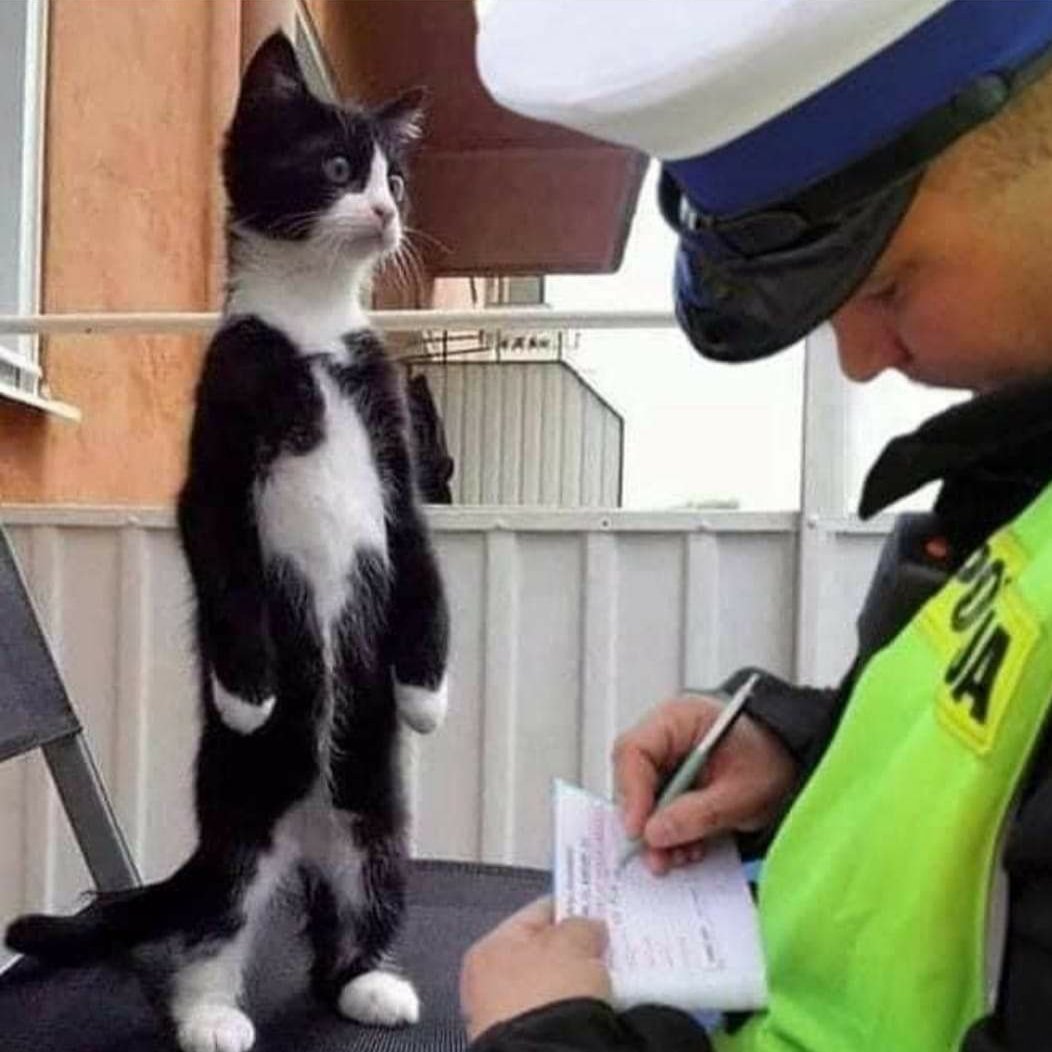 20 yasindan büyüğüm bi kere ben😂😂😂
#cumartesi