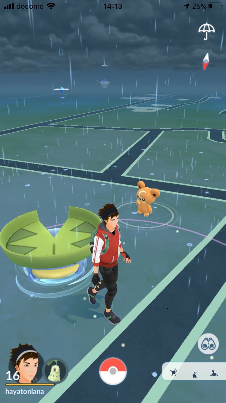 有利区間 彼女の家で久々にポケモンgo開いたらバカでかいハスボーとヒメグマ出てきて笑った ボールがないから捕まえれない T Co Tumsfkeyya Twitter