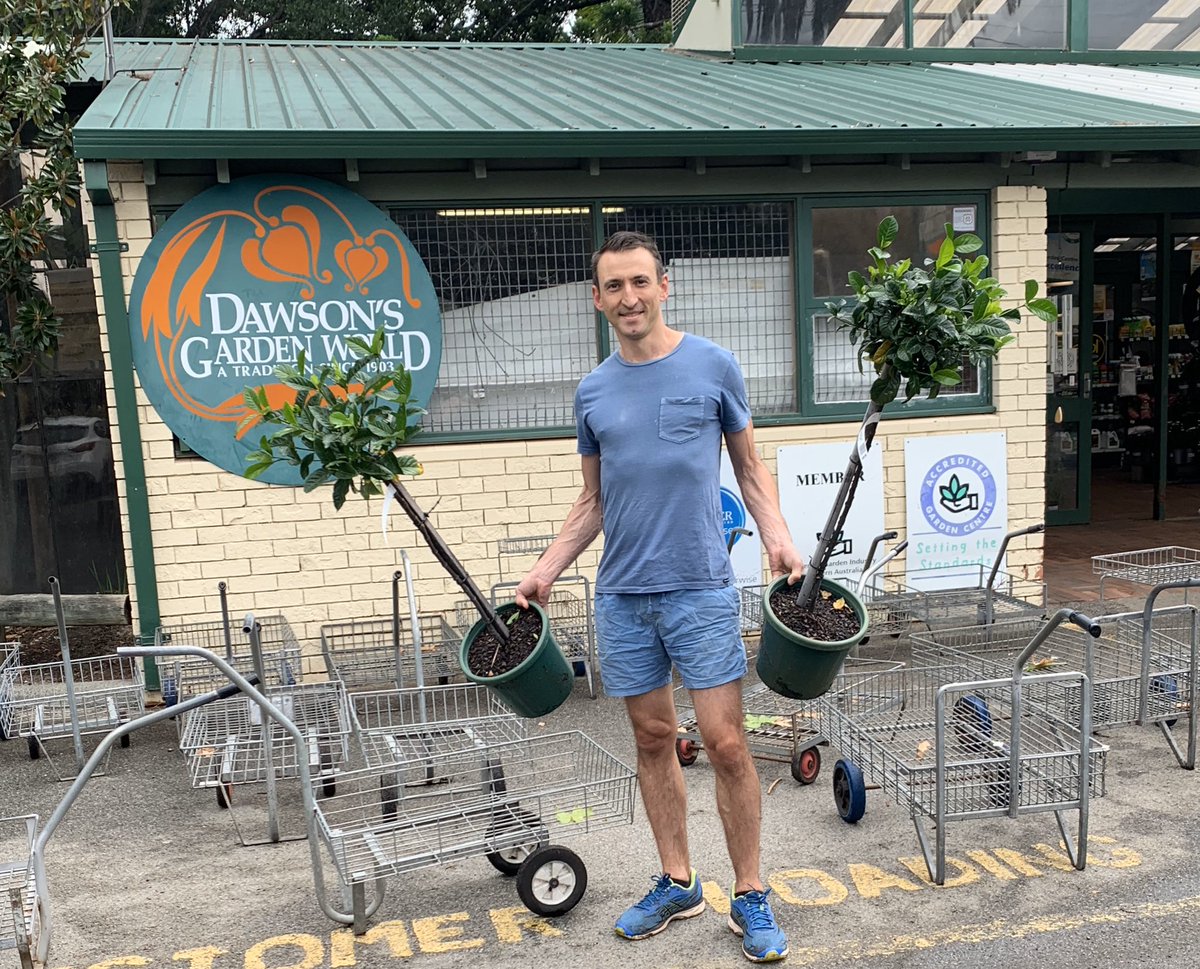 AaronMorey's tweet photo. Get around local business! 💪
CCIWA’s #smallshoutout campaign inspired me to get out to Dawson’s Garden World to pick up these Gardenias.
Going to look great in the front yard! 😁 https://t.co/PPBjfXZJP7