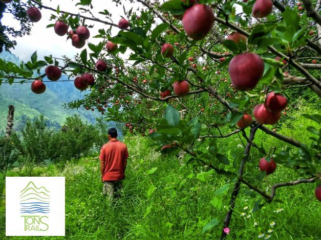 BUY FARM FRESH CRISP APPLES FROM US! 

Help the people rendered unemployed by shutdown of tourism!

PLEASE RT AND SUPPORT!

(tons.travel/apples - buy online)

32 boxes ordered (12 Big, 20 Small) since we posted on our Facebook Page (facebook.com/tons.trails/po…) yesterday!  

1/n