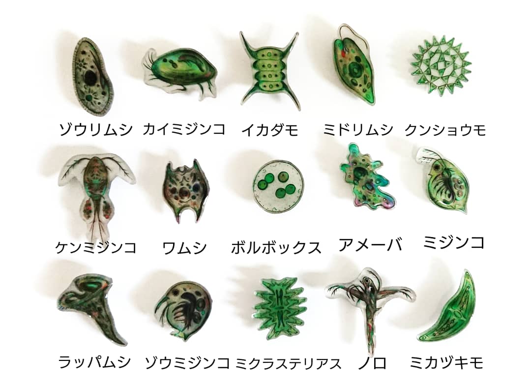 魅惑の微生物 בטוויטר Kataoka5233 さんリレーありがとうございます 小心者のためお次のかた指名できず申し訳ございません 自分の作品で申し訳ないですが大好きなプランクトンを貼って緑で埋めつくしておきます 好きな画像を貼って4人指名していくリレー