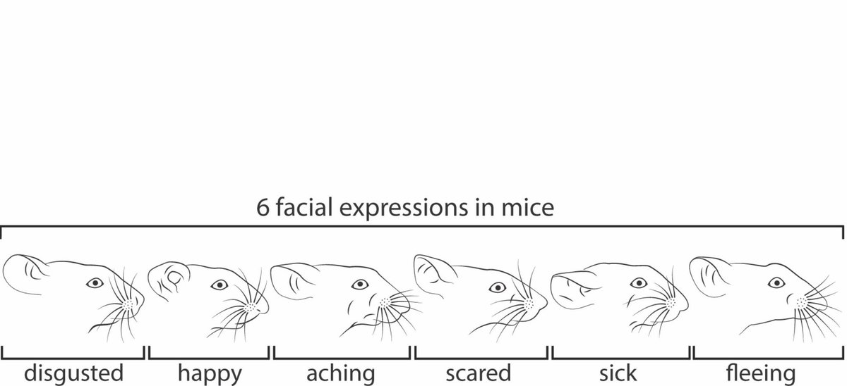 scienceshitpost's tweet photo. https://t.co/TY8uO6yRZx