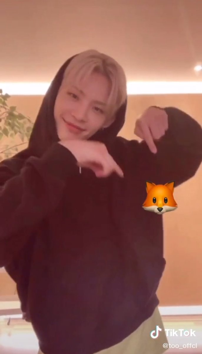🦊