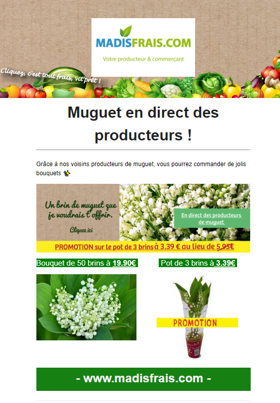 hotels_marais's tweet photo. MADIS FRAIS solidaire avec les producteurs de Muguet Nantais dans cette période de COVID19. Promotion pour le muguet en pot 3 brins!!Livré à votre domicile! https://t.co/l7Jlr1ixN9 #ConfinementJour32 #COVID19 @radio_hitwest #muguetnantais @JeanMichelBRAR1 @LJACQUET44 @MinNantes https://t.co/73LZmAbchR