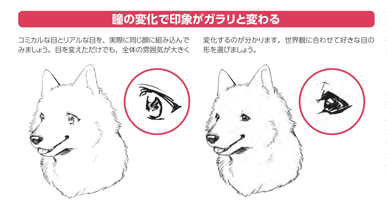 玄光社 超描けるシリーズ A Twitter 超描ネタ帳 動物の瞳は描き方によって 表現できる世界観がガラリと変わります リアルに描く場合は虹彩部分だけになることを意識しておきましょう 獣人の描き方 より T Co Asuwourqab 超描ネタ帳 玄光社 超描けるシリーズ A Twitter 超描ネタ帳 動物の瞳は描き方によって 表現できる世界観がガラリと変わります リアルに描く場合は虹彩部分だけになることを意識しておきましょう 獣人の描き方 より T Co Asuwourqab 超描ネタ帳