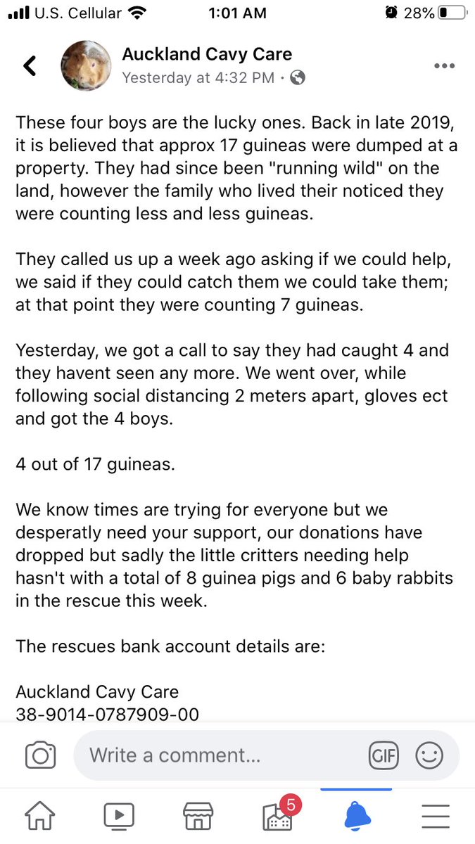 CentralPig's tweet photo. Bear with me as I’ve NEVER done this. Maybe cause I’m still sensitive from loosing my dear TM recently this pulled at my heartstrings. Google them for details if you can donate. First time I’ve donated a decent amount outside my own community. 
Please retweet to help also https://t.co/jPLNj9Wnjb