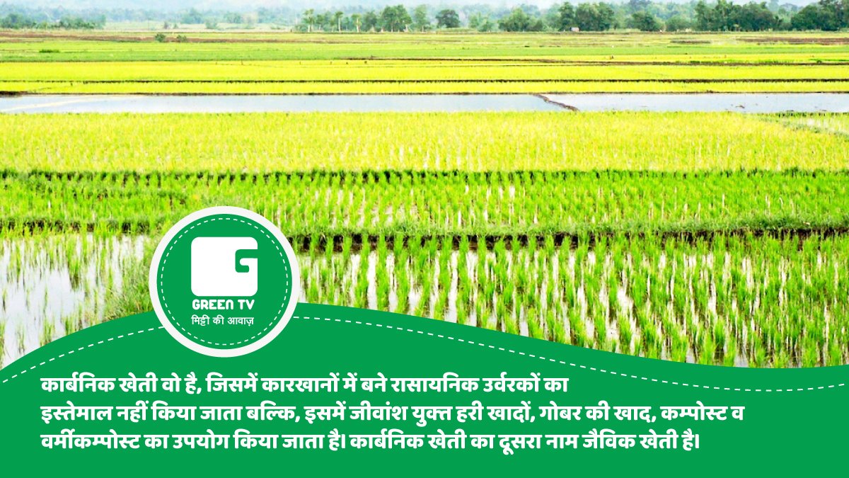 GreenTV_India's tweet photo. #OrganicFarming
कार्बनिक खेती वो है, जिसमें कारखानों में बने रासायनिक उर्वरकों का इस्तेमाल नहीं किया जाता बल्कि, इसमें जीवांशयुक्त हरी खादों, गोबर की खाद, कम्पोस्ट व वर्मीकम्पोस्ट का उपयोग किया जाता है
#greenmanure #compost #organic #GreenGyan #BasicAgriculture
#Farmer #farming https://t.co/D26Fqovo8V