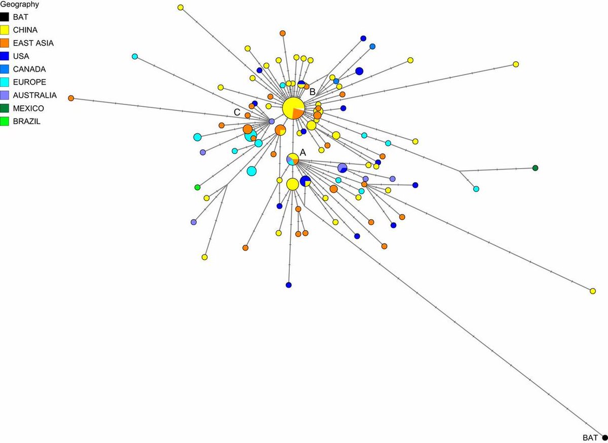 owhy3's tweet photo. #Starting_sept_13_not_in_Wuhan
#Neither_lab_nor_wet_market’? Covid-19 outbreak started months EARLIER indicates #Cambridge study — https://t.co/skH6ZF3iFs
"Then, it started infecting and spreading among humans between #Sep_13 and Dec 7, generating the network we present https://t.co/AfhBhx08iR