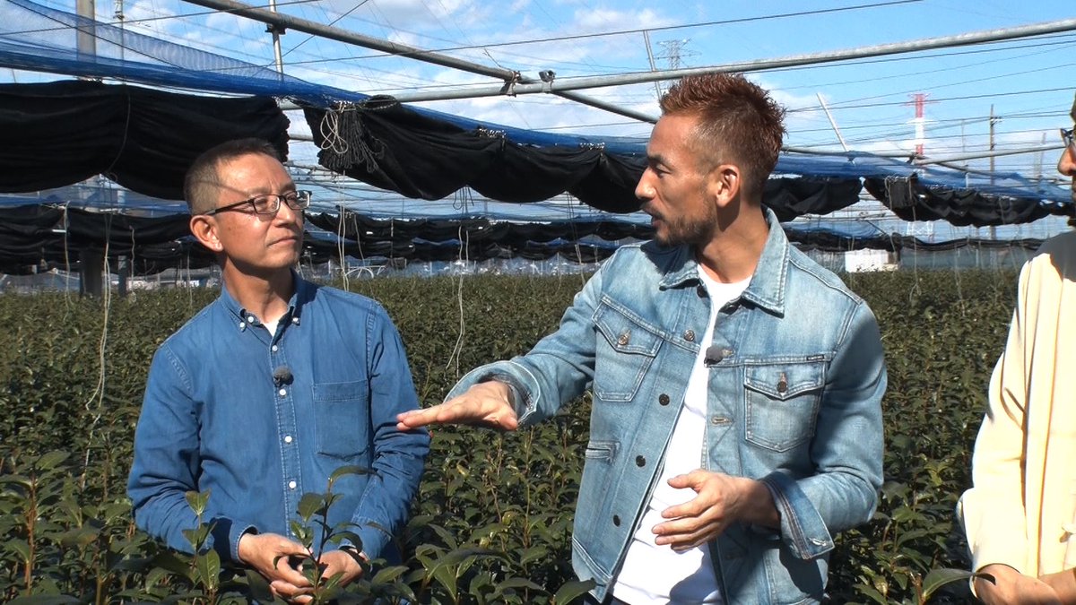 公式 世界一受けたい授業 今夜 7時56分の 世界一受けたい授業 中田英寿 先生は 埼玉県入間市の狭山茶の産地 へ 究極の製法である 手づみ Amp 手もみは ３g５４００円の最高級茶 色は薄いのになんでこんなに濃いのか その 秘密に