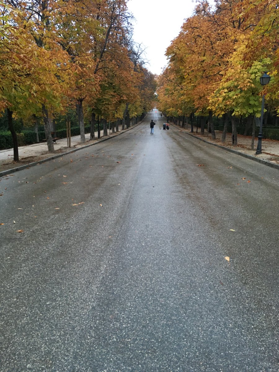 _ElRetiro's tweet photo. “Todas las cosas fingidas caen como flores marchitas, porque ninguna simulación puede durar largo tiempo” (Cicerón) #FelizSábado https://t.co/X451OLicT1