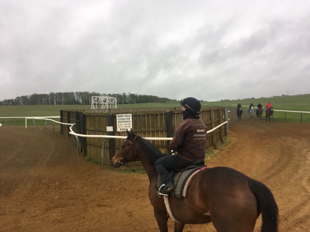 JohnWathenBerry's tweet photo. An overcast, damp morning @NewmarketGallop. 6 degrees, forecast high 13. The bit of rain won’t go amiss. Dry again next week #HopeIsHigh https://t.co/OPZCCNPrzb