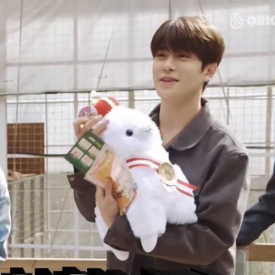He’s a squish