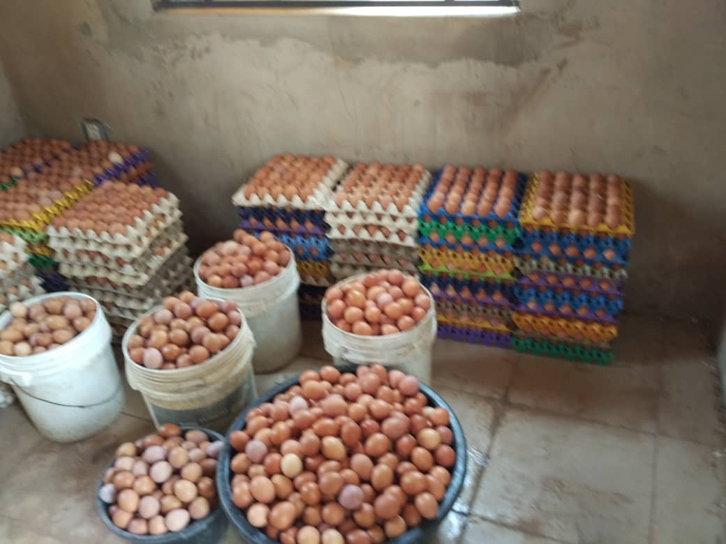 Hello #AbujaTwitterCommunity , I've got eggs in Mama's farm & it's difficult to sell them  because of the lockdown...

But mama can deliver to homes at ₦700per create please help me spread the word so mama doesn't lose all. My DM is Open, thank you.