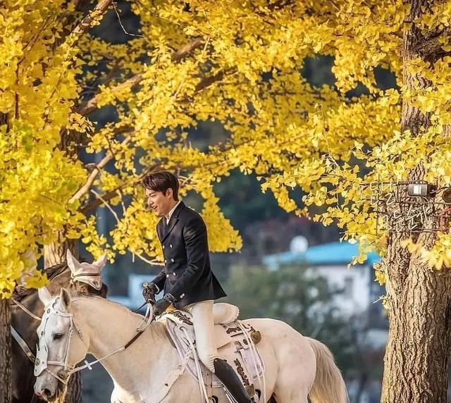 конам дорама. конам дорама. ли мин хо на коне дорама король. гон ю актер 2020. гон ю.