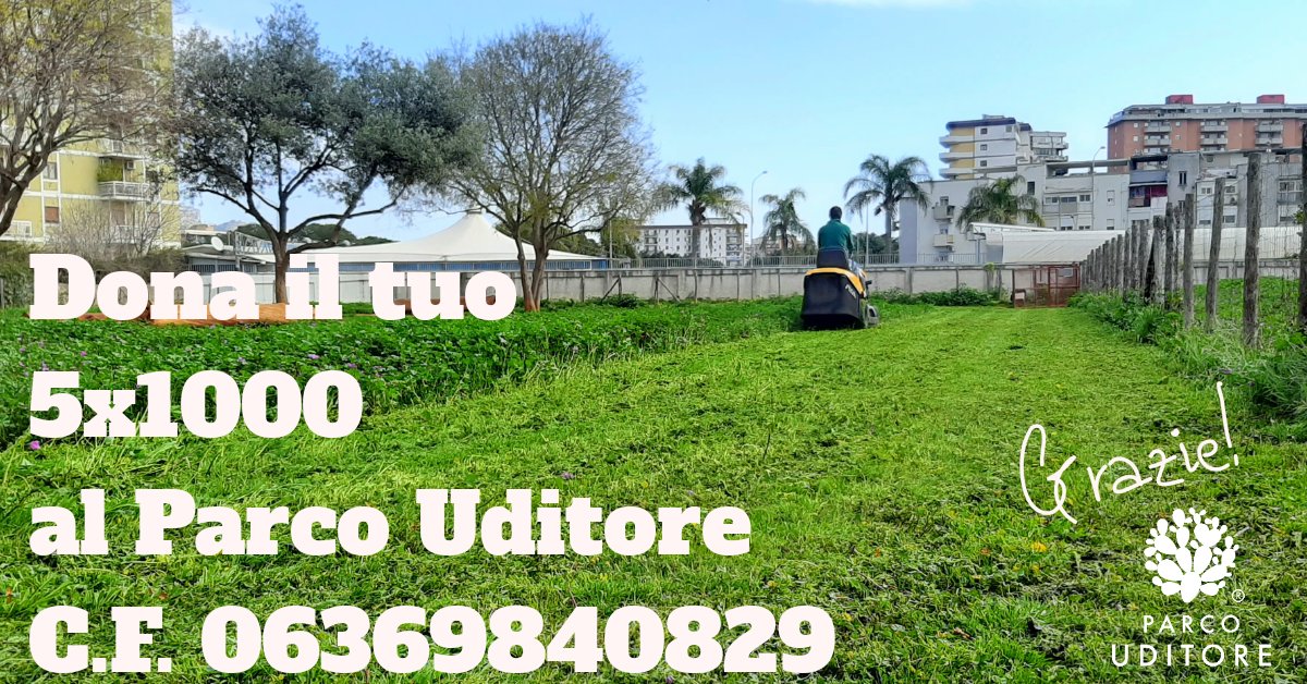 La manutenzione del nostro parco va avanti e le spese sono tante. 
Segnatevi questo post come promemoria. Quando dovrete compilare la vostra dichiarazione dei redditi, donate il vostro 5x1000 al Parco Uditore C.F. 06369840829 (sezione Enti del volontariato e ONLUS). Grazie.😌💚