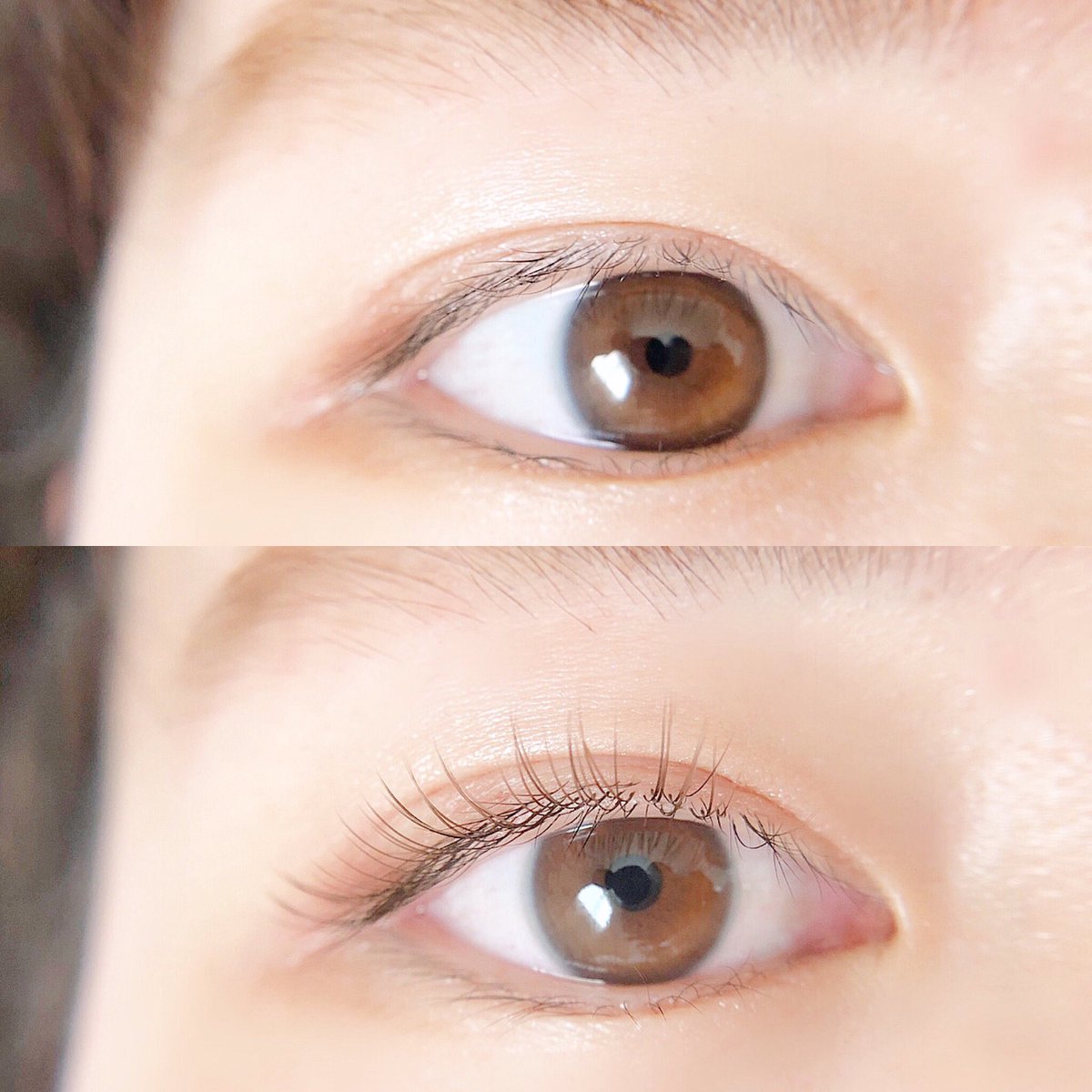 Mil Eyelash Mil Eyelash Twitter Mil Eyelash Mil Eyelash Twitter