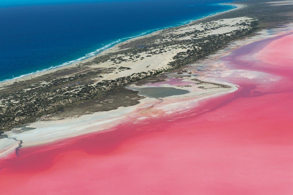 【いつか旅に出る日★発売中】
西オーストラリアのパースから、海岸線に沿って北へ約500km進むと、突如、まばゆいピンク色の湖が現れる。その名は「Hutt Lagoon」。
西オーストラリアの大地のグラデーションは壮大だった。
#BRUTUS  #いつか旅に出る日 #想像力で旅をする