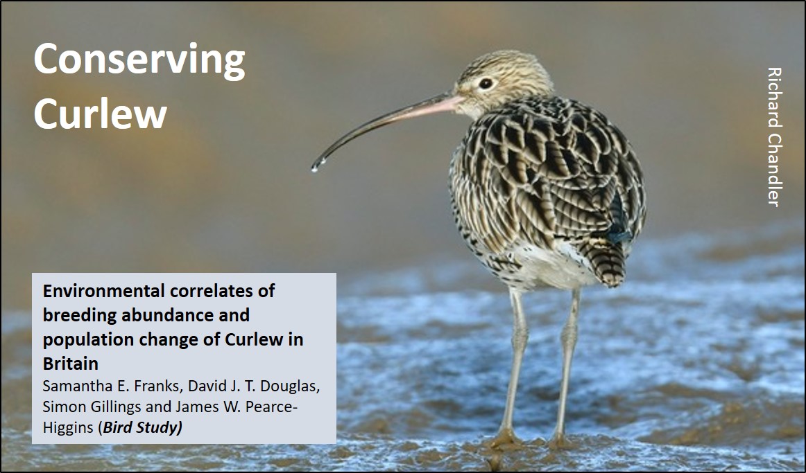 So what are the issues for the UK's Curlew? This review by  @_BTO and  @RSPBScience summarises the problems facing our UK  #Curlew - squeezed by habitat change and exposed to high predation:  https://wadertales.wordpress.com/2017/08/31/curlews-cant-wait-for-a-treatment-plan/  #ornithology  #waders  #shorebirds