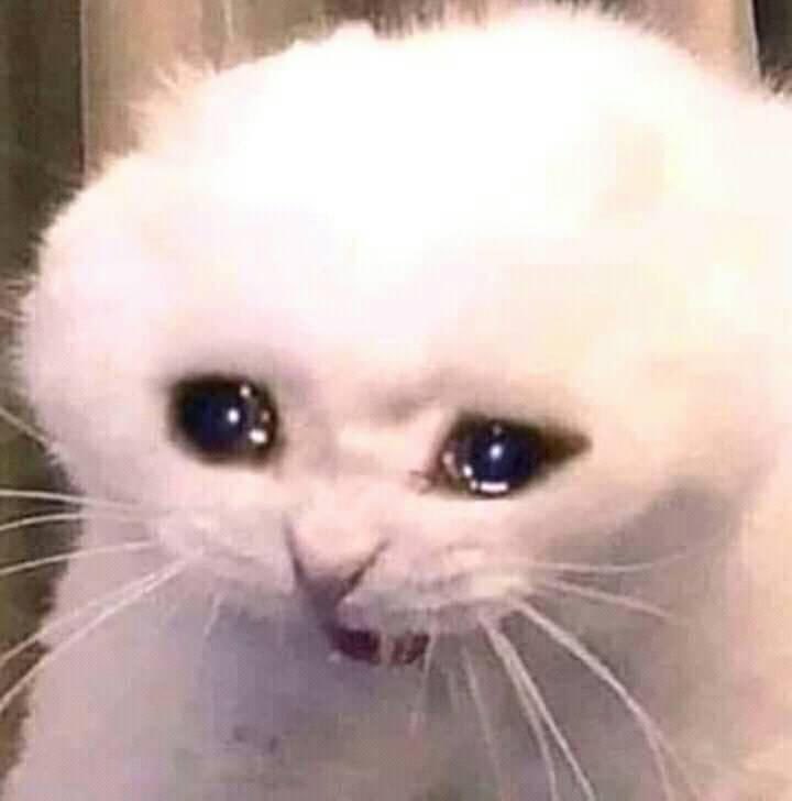 Yo: Por qué los hombres son tan culeros con nosotras?
Google: Cáncer de Juan de Dios Pantoja