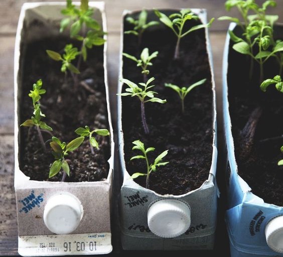 seed_ball's tweet photo. You can use cans and containers to create your own indoor garden/garden starter kit!  
📸 pinterest  
#gardening #seedball https://t.co/HhIC8H4beN