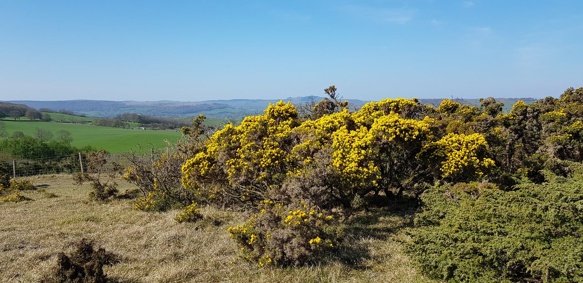 thebnbangels's tweet photo. Scout Scar #kendal how lucky are @thebnbangels to have this right on our doorstep. #Cumbria https://t.co/eIO2sgiL6J