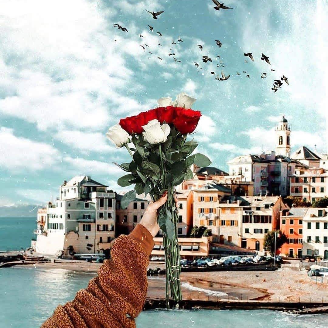 " صباحٌ شمسهُ باردةً ، ونسماته عليلة ، كأنما يخبرنا بموعد الفرج" 🌷☀️

#صباحكم_بهجة😍