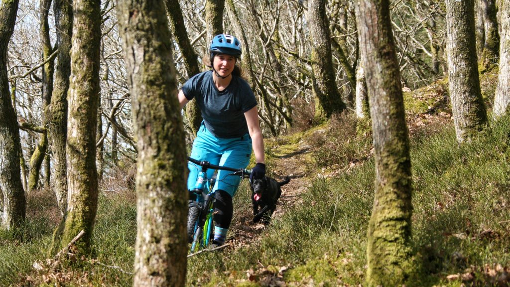 mtbcymru's tweet photo. No car, no gnar, not far... 

#keepitlocal if your riding this weekend 👍🏻

#VisitWalesLater #mtb #cycling #stayhealthy #StayHome https://t.co/pLvf6PXjqc