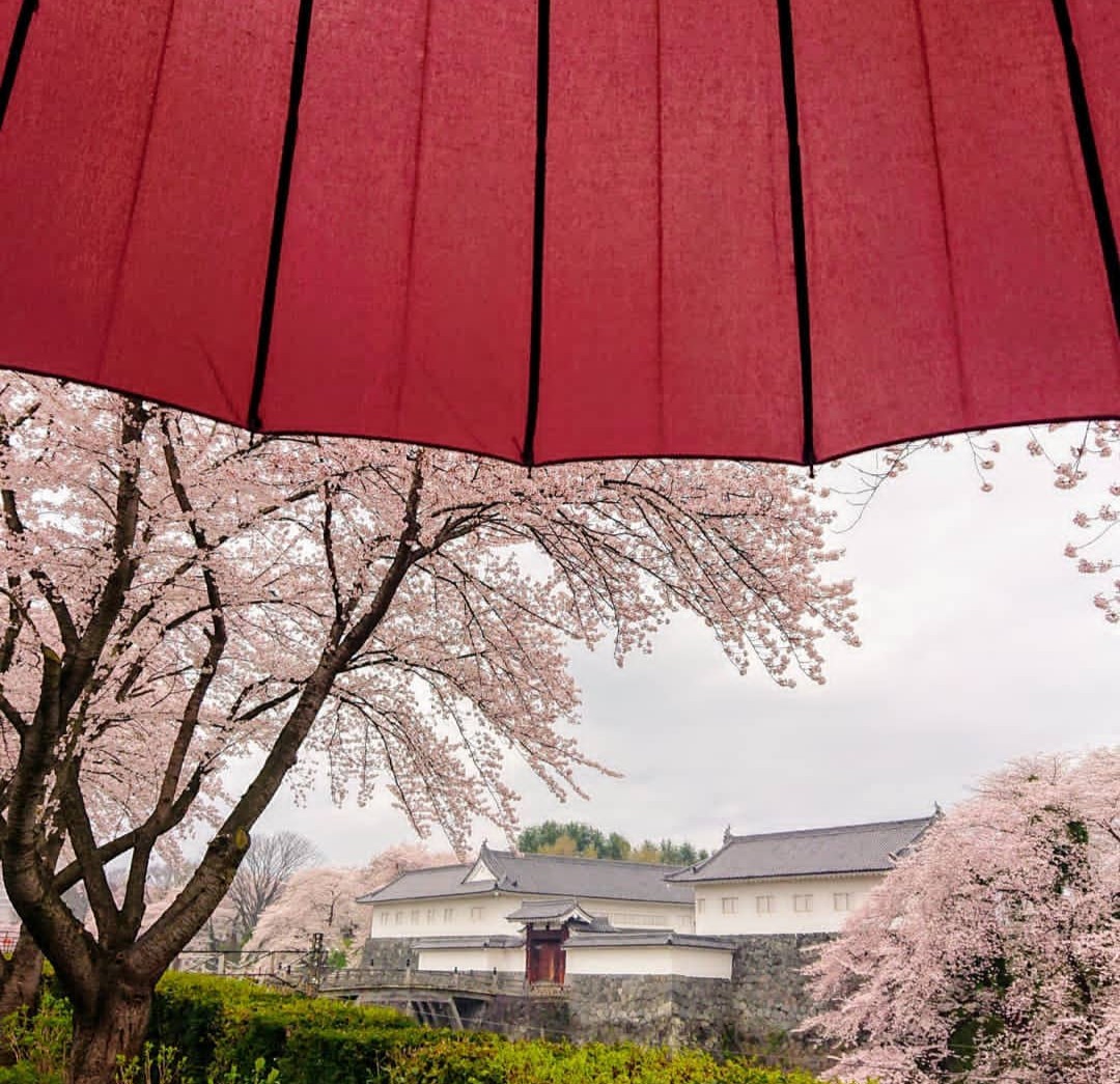 山形市観光協会 今日の雨の山形市 霞城公園の桜の様子 園内は閉鎖中です T Co Ptpasbkwer 山形市観光協会 今日の雨の山形市 霞城公園の桜の様子 園内は閉鎖中です T Co Ptpasbkwer