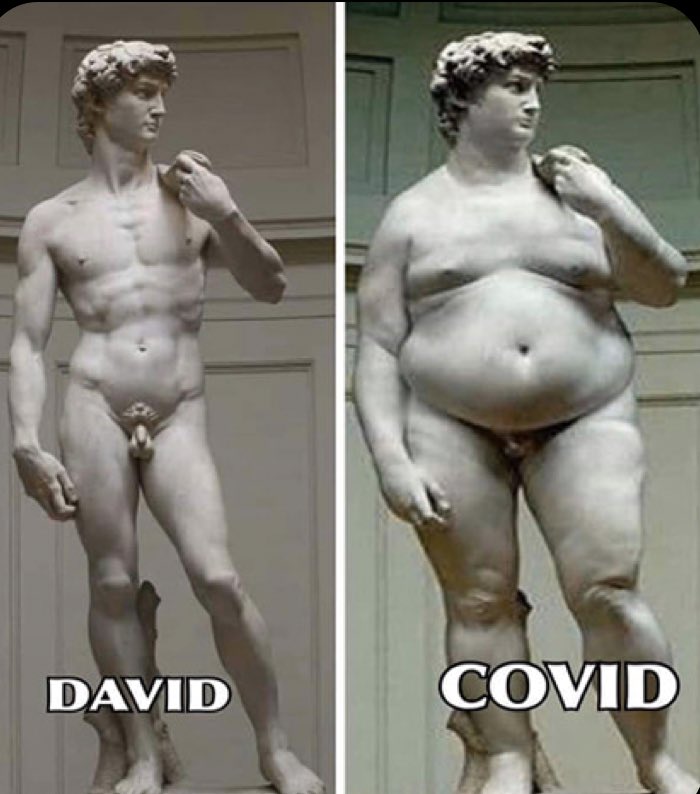 Melissa Hoyer tweet media