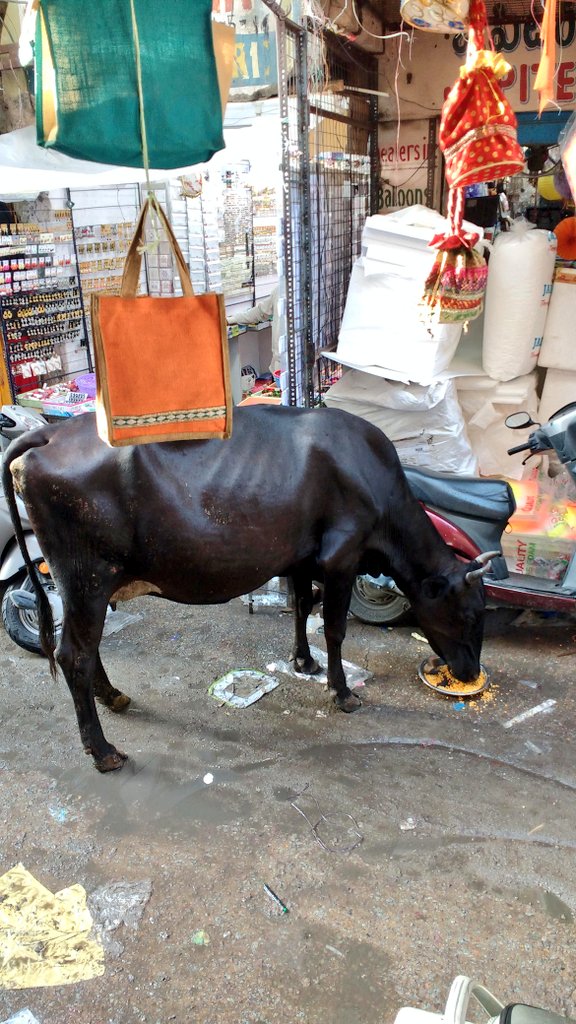 KalyaniMuktevi's tweet photo. Nominated by @smileysnaps for
Day 5/7 of #OneDayOneTheme #Photography Challenge
Today's Theme:
Streets Of Hyderabad /Street Photography
I nominate: @HyderabadEV https://t.co/1jZewjoTud