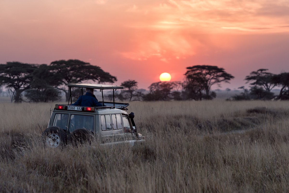 Safari companies and game reserves are asking all those who have booked trips this year not to cancel but to postpone until next year, ensuring that vital funds continue to flow to those on the front line ❤️🌍

#postponedontcancel #africaneedsyou #againstpoaching