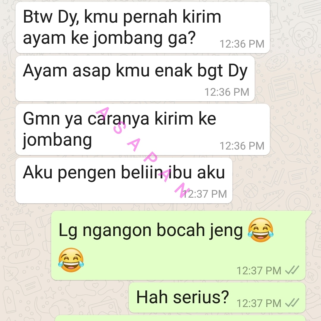 Asapan10's tweet photo. Sebagian review untuk batch terakhir PO ayam asap dari konsumen yang puas. Semoga bisa improve lagi ke depannya https://t.co/wm9kRMPod1