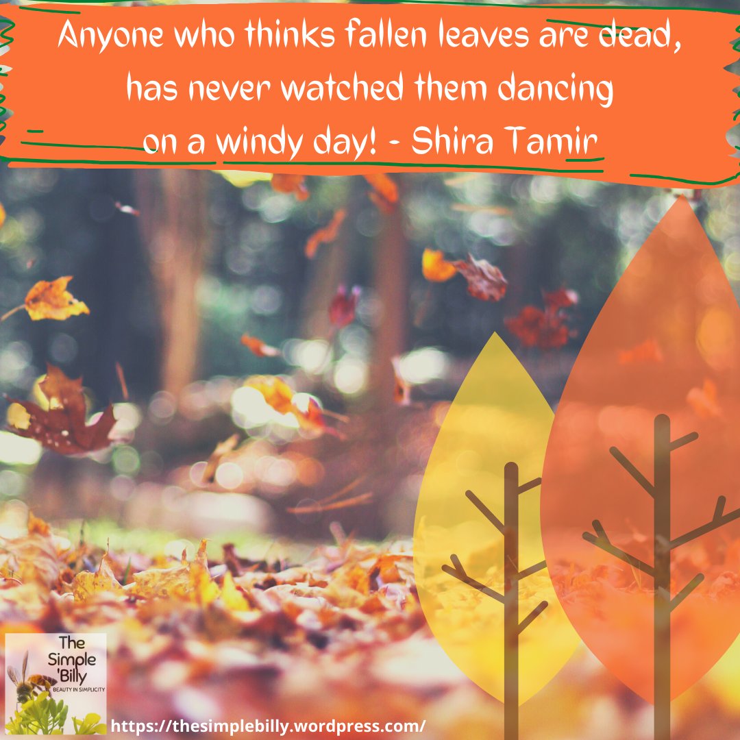 Although we're all experiencing some difficulty during this time of isolation, let's try remember that every Season brings with it a joy &amp; reason to smile. Simply open your Soul to see the beauty of this Season too ... :)