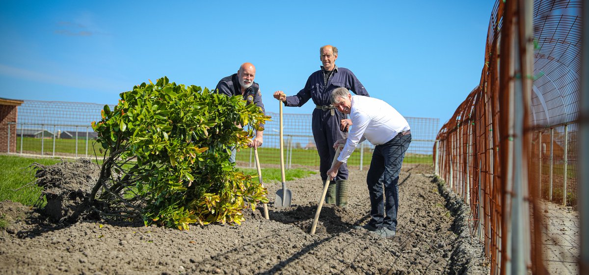 Gistermiddag hebben gedeputeerde Douwe Hoogland, voorzitter Rendert Algra van ANF en boer Murk Nijdam de eerste laurier geplant. Deze officiële handeling is weer een belangrijke stap in het plasdras project van Murk Nijdam en ANF. #fryslan #Murknijdam #ANF