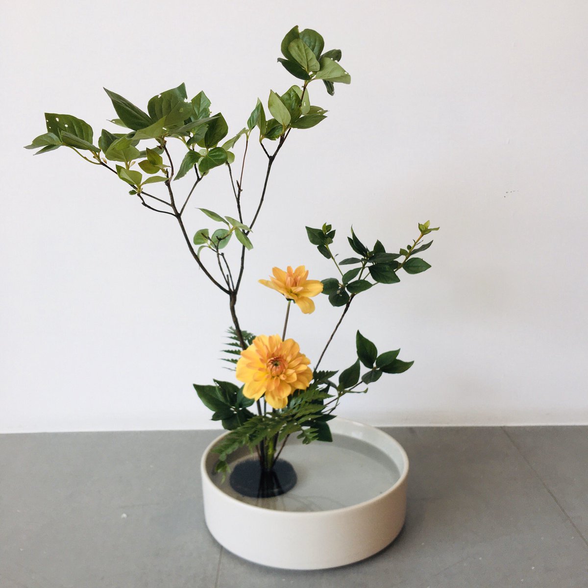 huining5400's tweet photo. #ikebana https://t.co/Sdnyr7RFVZ