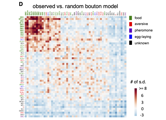 Davi Bock tweet media