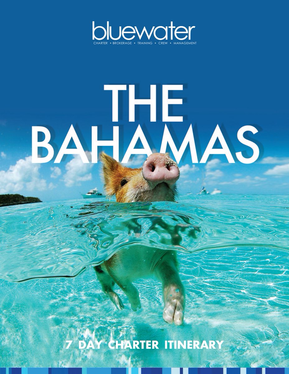 AmiGIra's tweet photo. The Bahamas' beautiful water is calling your name! Discover the personalities of each island.
BOOK YOUR FUTURE YACHT CHARTER NOW! 
Call/Text/Whatsapp +1 954-258-1565

Check out our sample Bahamas Charter Yacht Itinerary here:
https://t.co/6x8Fp3tzk6

#bluewaterusa #yachtcharter https://t.co/thldxOMPXm