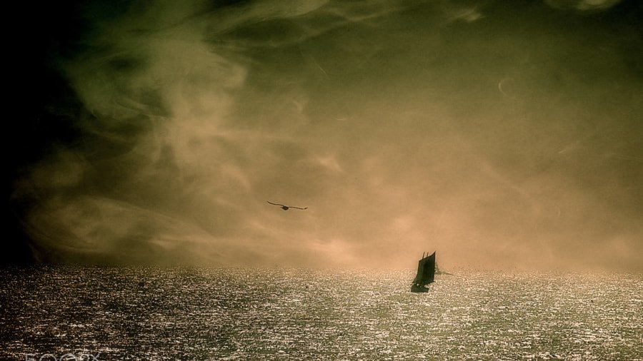 아는게 많아지면
불편한게 많아집니다

가진게 많아지면
잃을 것도 많아집니다

채운게 많아지면
비워야 할것도 많아집니다

무언가가 많아지만
또 다른 무언가가 줄어듭니다