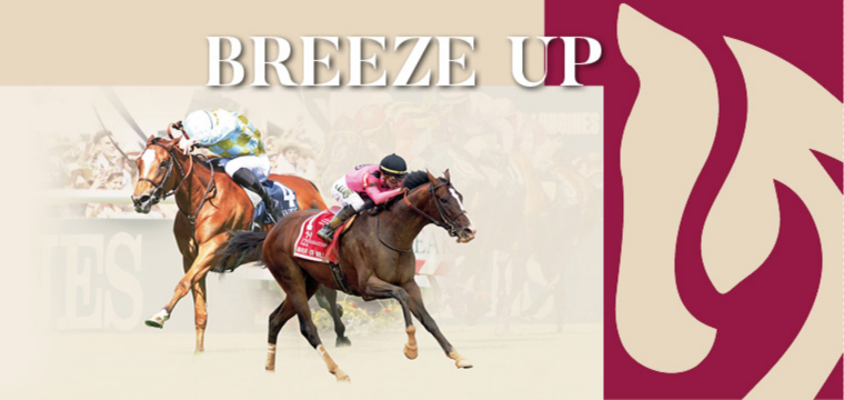 InfoArqana's tweet photo. ARQANA and Goffs UK join forces to organise Breeze Up sales in Ireland, 29-30 June https://t.co/l4Wd8GTfAX https://t.co/H7Od8FHZVF