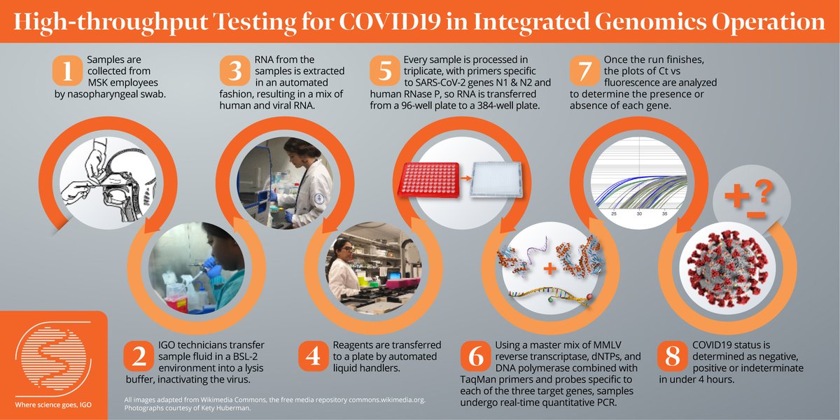 genomics212's tweet photo. The COVID19 testing workflow at IGO https://t.co/wzVrN9qwiE
