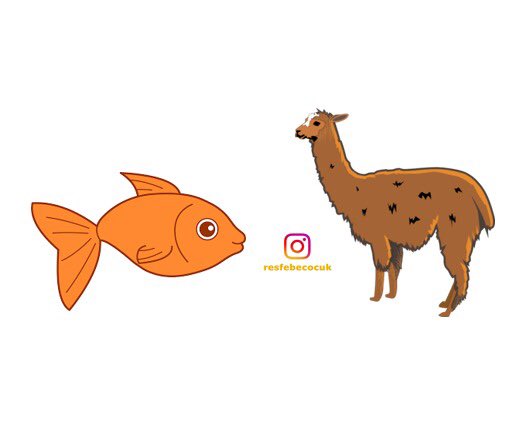 resfebe's tweet image. Bu ve daha fazlası Instagram’da @resfebeonline ve @resfebecocuk sayfasında.

#resfebe #zeka #mantık #oyun #bulmaca #soru #resfebeonline #instagram #etkinlik #ilkokul #takip