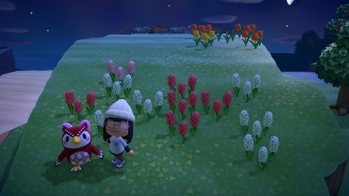 Celeste &amp; me having a nice late night walk :> #AnimalCrossing #ACNH #NintendoSwitch