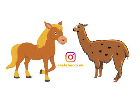 resfebe's tweet image. Bu ve daha fazlası Instagram’da @resfebeonline ve @resfebecocuk sayfasında.

#resfebe #zeka #mantık #oyun #bulmaca #soru #resfebeonline #instagram #etkinlik #ilkokul #takip